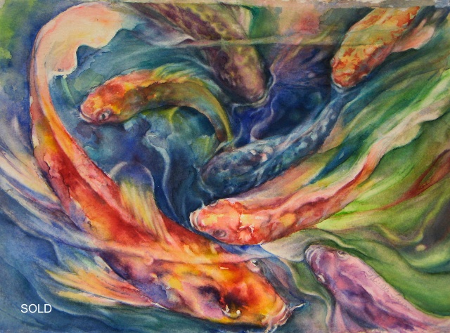 Shanghai Koi