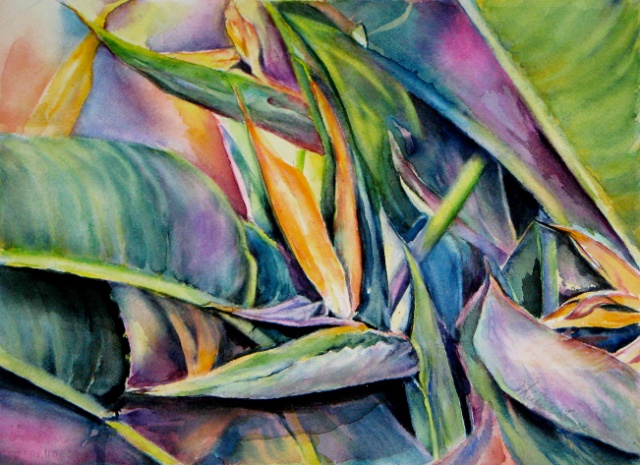 Bird of Paradise 1