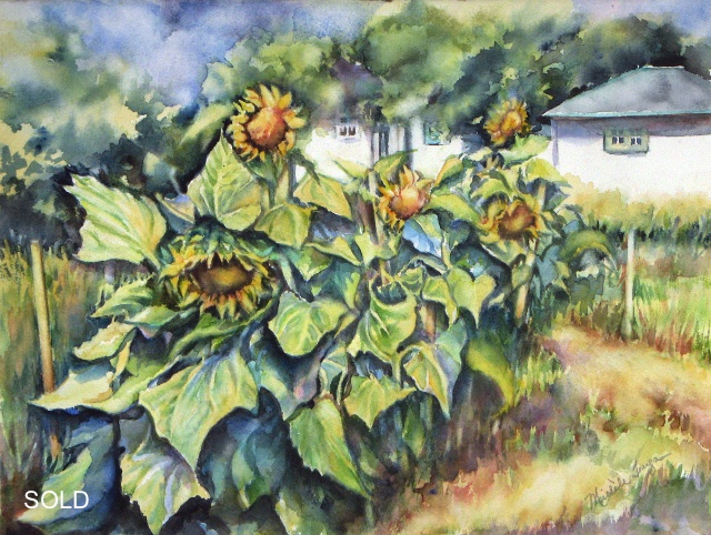 Sunflower Patch