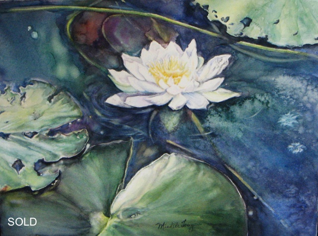 Water Lily