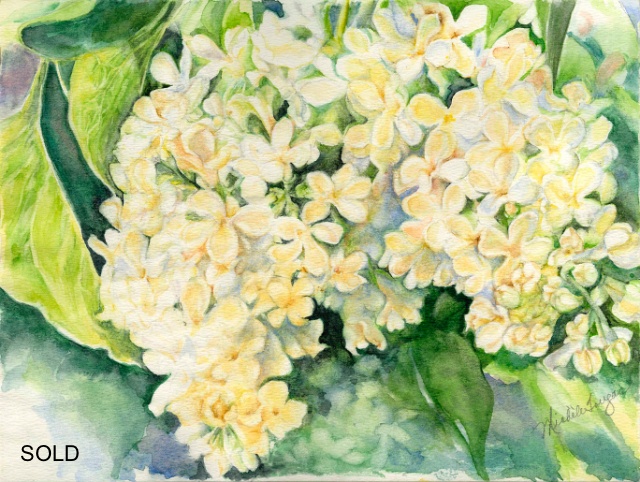 White Lilacs