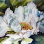 White Peony.JPG